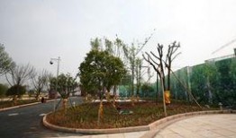 润和星城最新爆料,揭秘高端住宅区的华丽蜕变与未来潜力